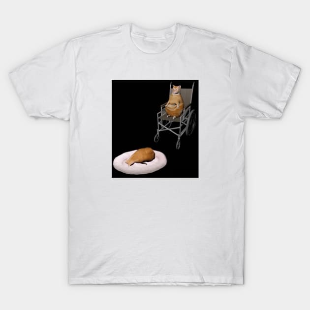 Cat In A Wheelchair T-Shirt by artsylab