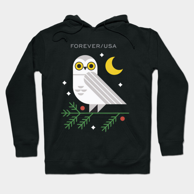 Black hoodie with owl graphic, moon, and "FOREVER/USA" text. Cozy cotton blend, perfect for casual wear.
