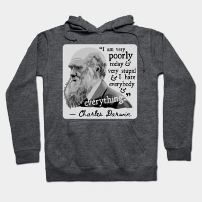 Gray hoodie with a quote and portrait design, featuring a historical figure. Cotton blend, casual wear for cool weather.