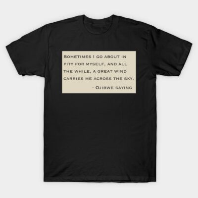 Black T-shirt with Ojibwe saying, beige text box, casual style, soft cotton fabric, inspirational quote print.
