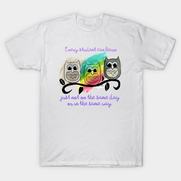 White T-shirt with colorful owl design and motivational quote, casual style, cotton material, unisex fit.