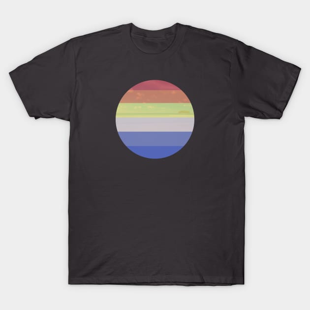 Black t-shirt with circular rainbow gradient design, casual unisex style, made from soft cotton for everyday wear.