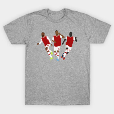 Gray t-shirt with red and white sports graphic, casual style, cotton material, perfect for everyday wear.