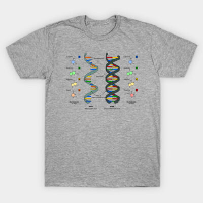 Gray T-shirt featuring colorful DNA and RNA helix design, casual wear, cotton material, scientific theme.