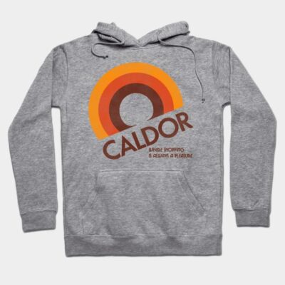 Gray hoodie with retro orange and brown logo design, front pouch pocket, drawstring hood, ideal for casual wear.