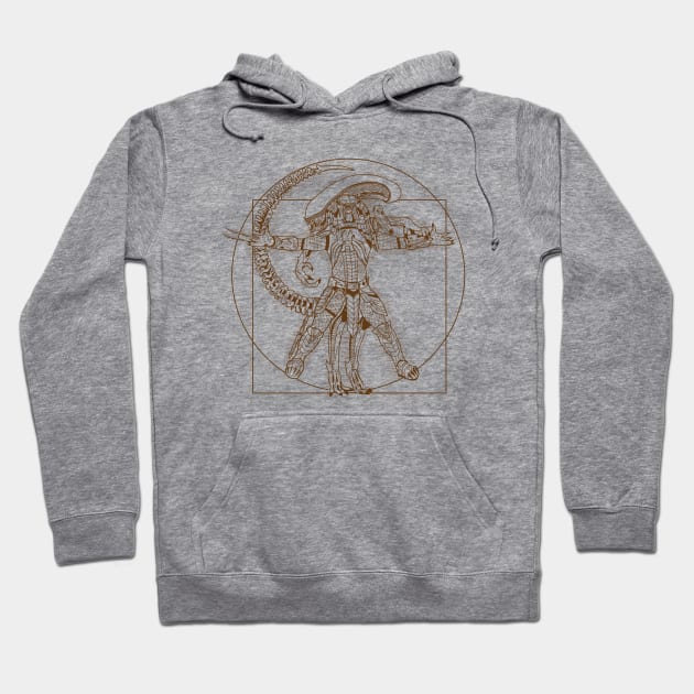 Gray hoodie with detailed brown graphic design, featuring kangaroo pocket and drawstring hood, perfect for casual wear.