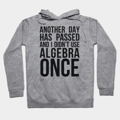 Gray hoodie with humorous algebra quote, casual style, soft cotton material, perfect for everyday wear and comfort.
