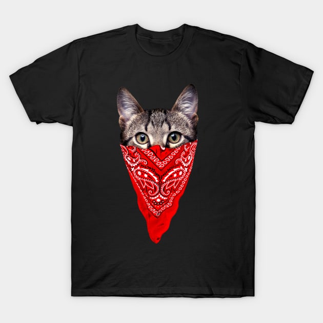 Black t-shirt featuring a cat with a red bandana design, casual style, perfect for cat lovers, cotton material.