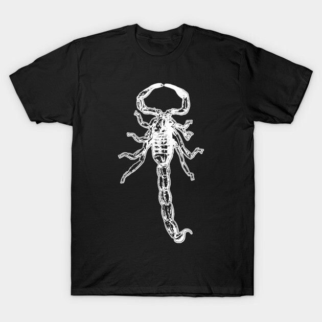 Black t-shirt with white scorpion graphic, casual style, 100% cotton, ideal for everyday wear.