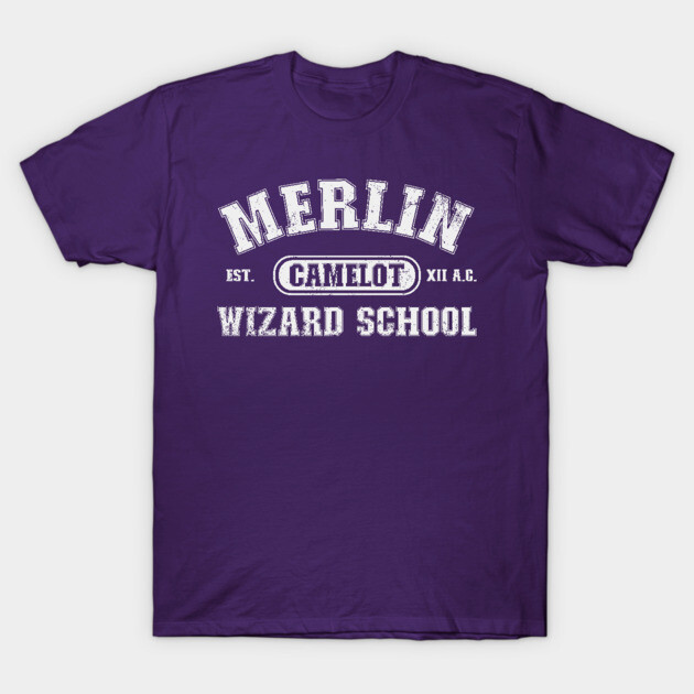 Purple "Merlin Wizard School" T-shirt, cotton, casual style, perfect for fantasy enthusiasts or themed events.