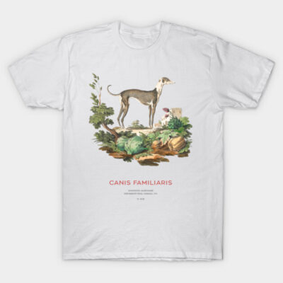 White t-shirt with vintage dog illustration and "Canis Familiaris" text, perfect for casual wear or gifting.