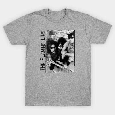 Gray graphic T-shirt, featuring vintage band photo and text, casual style, soft cotton blend, unisex design.