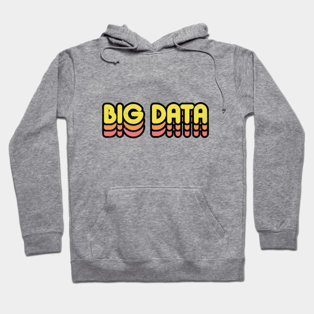 Gray hoodie with "Big Data" text design, featuring a front pocket and drawstrings, ideal for casual wear.