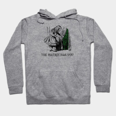 Gray hoodie with "The Matrix Has You" text and a vintage graphic, ideal for casual wear, made from soft cotton blend.