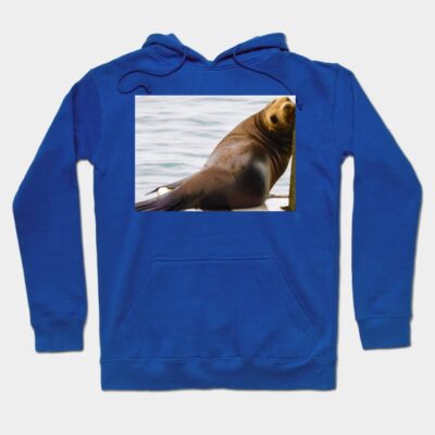 Blue hoodie with sea lion graphic, casual style, soft cotton fabric, perfect for everyday wear and outdoor activities.