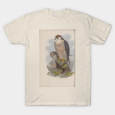 Ivory t-shirt featuring vintage falcon illustration, casual style, soft cotton material, ideal for bird lovers.