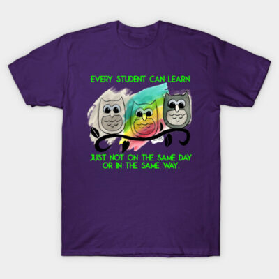 Purple t-shirt with colorful owl design and motivational text, ideal for casual wear or gifts. Cotton material.