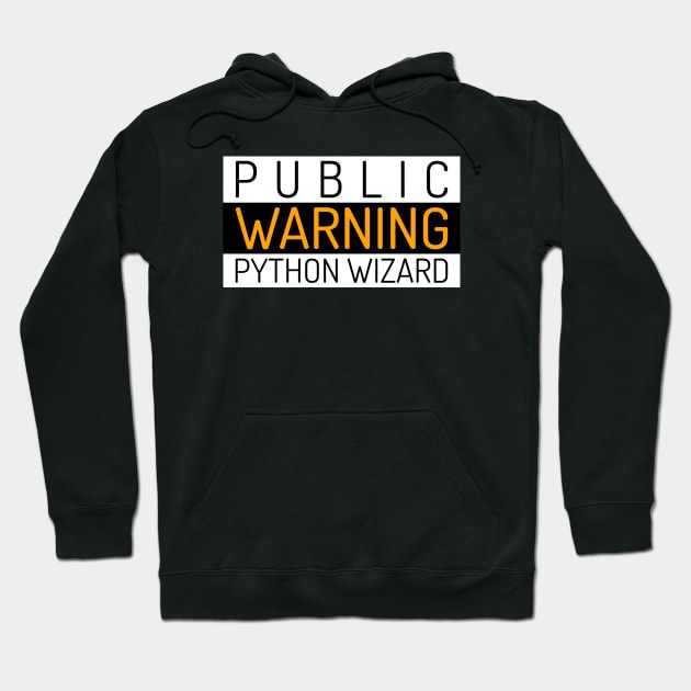 Black hoodie with "Public Warning Python Wizard" text, long sleeves, casual style, cotton blend for comfortable wear.