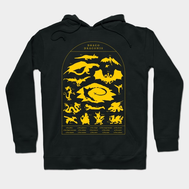 Draco Draconis Hoodie by thedesigngarden