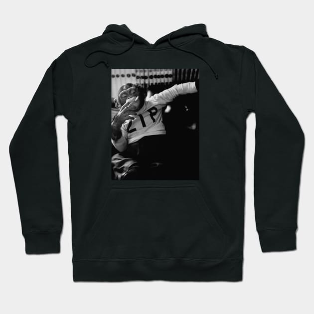 Black hoodie with "ZIP" print, featuring a monochrome photo design, perfect for casual wear, cotton blend.